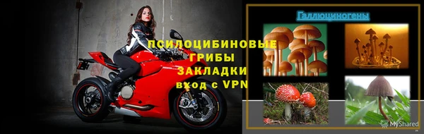 a pvp Алексин