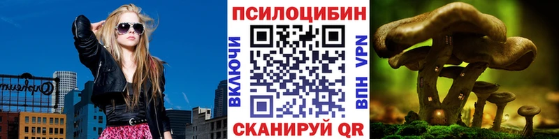 Псилоцибиновые грибы Cubensis  Нижняя Тура 
